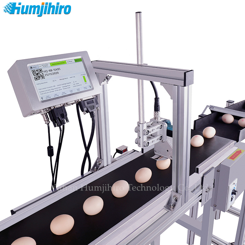Commercial Printing Products - Inkjet Printer QR Code Printing Egg